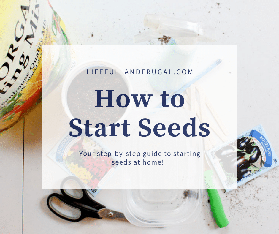 How to Start Seeds – Life Full and Frugal