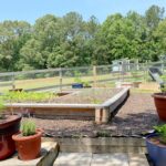 Frugal Potager Garden Transformation and Tour