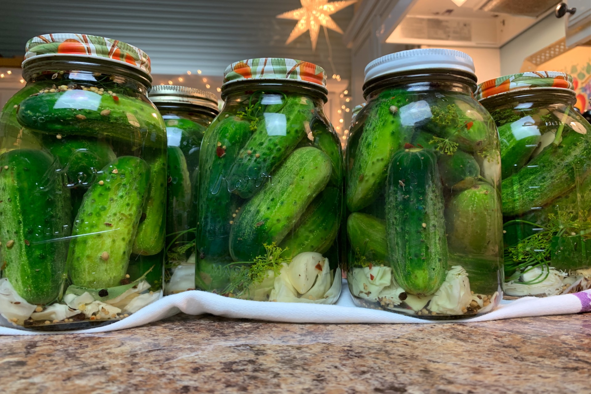 Old Fashioned Lacto-Fermented Dill Pickles